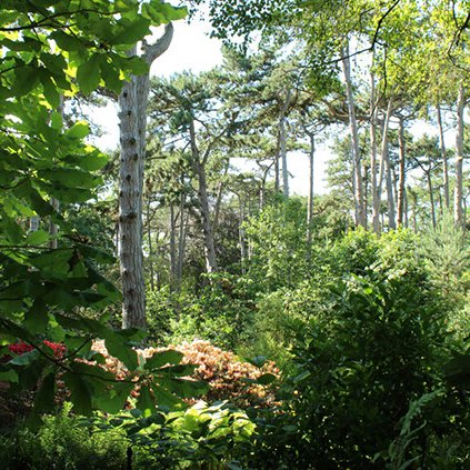 parc floral.jpg