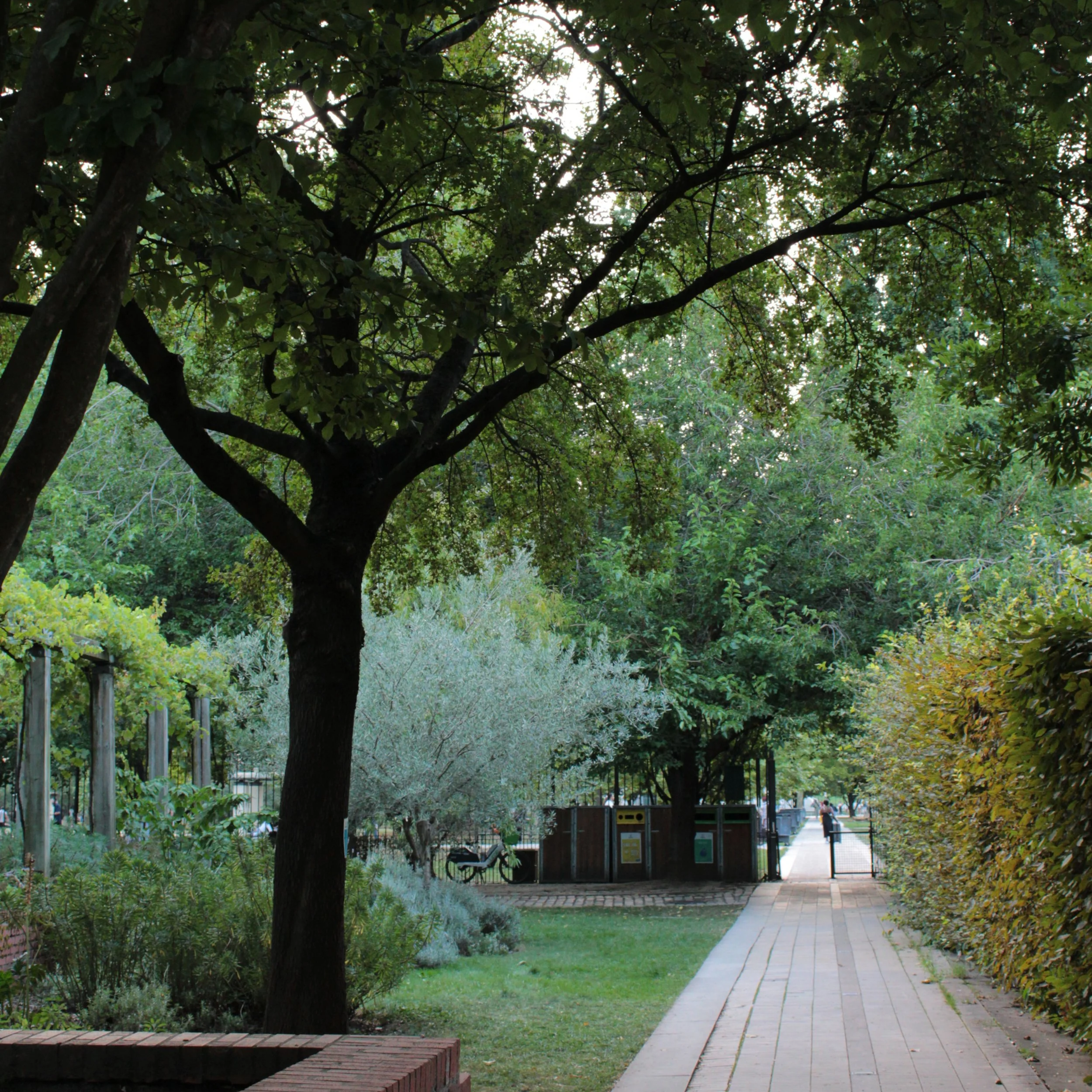 parc bercy dessin jardin paris