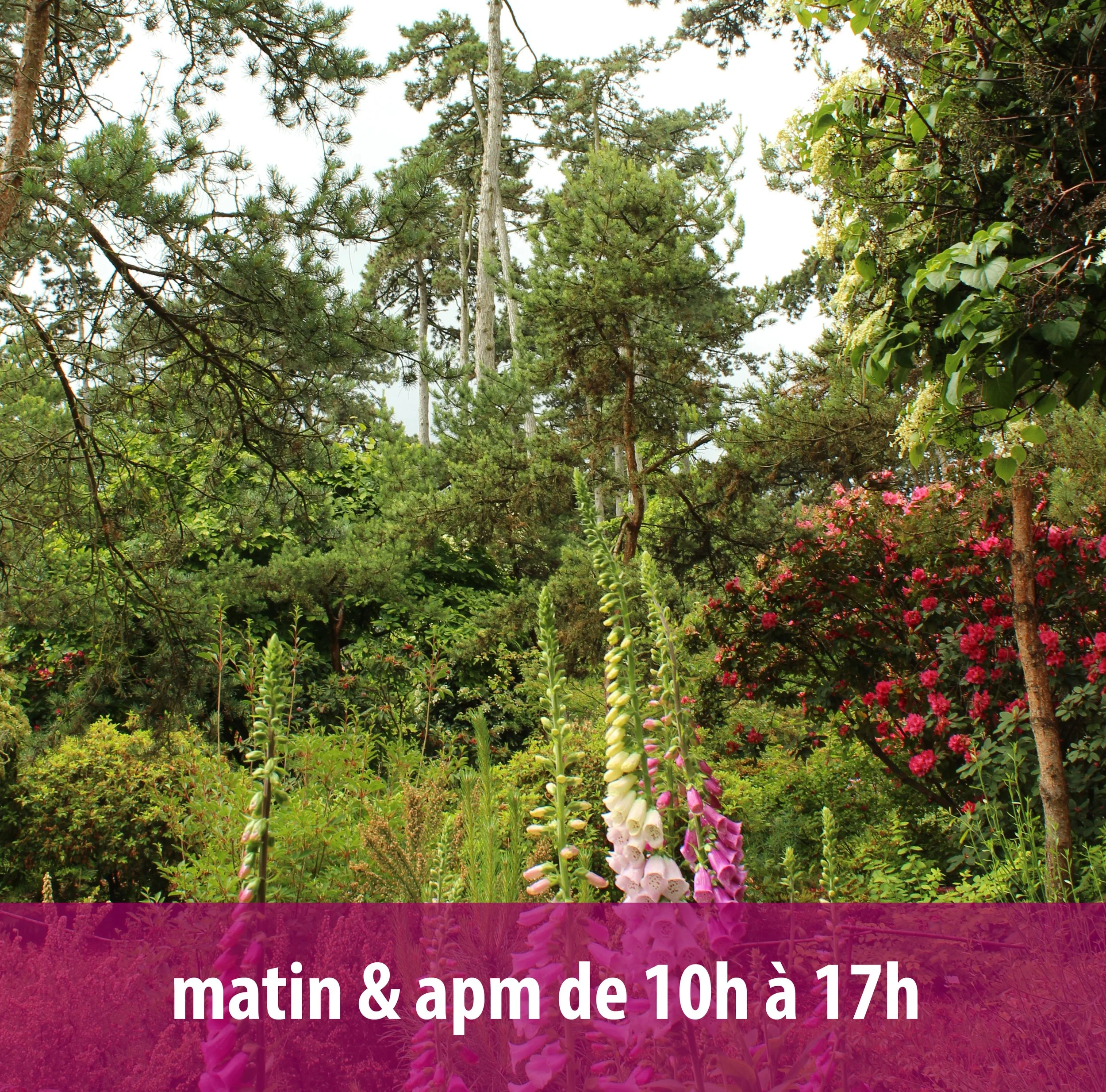 parc floral mt et apm.jpg