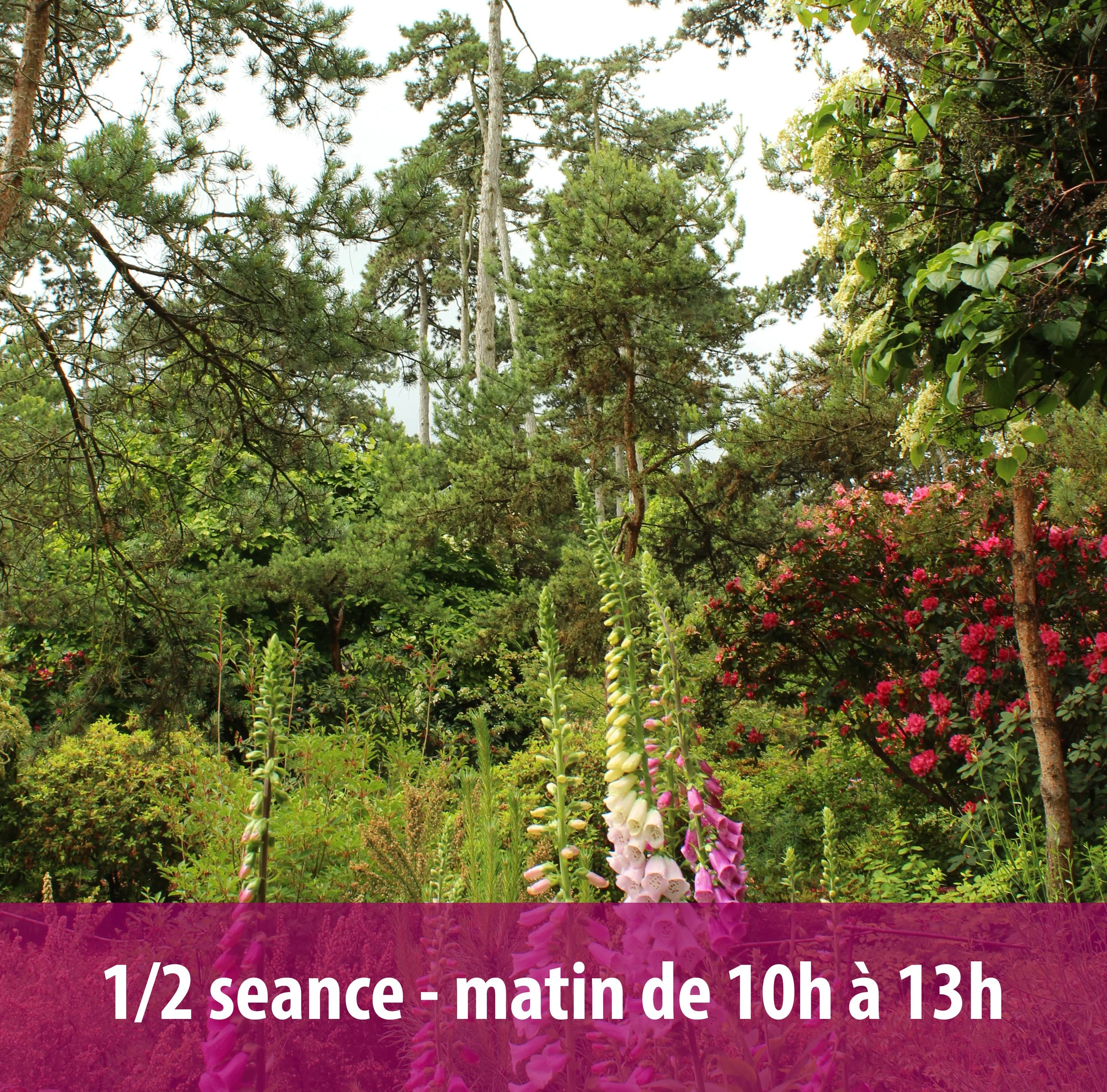 parc floral matin.jpg