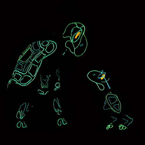 Lightwire Theater - The Adventures of Tortoise and Hare: The Next Generation