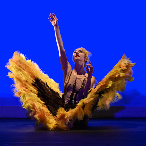 MOMIX: Botanica