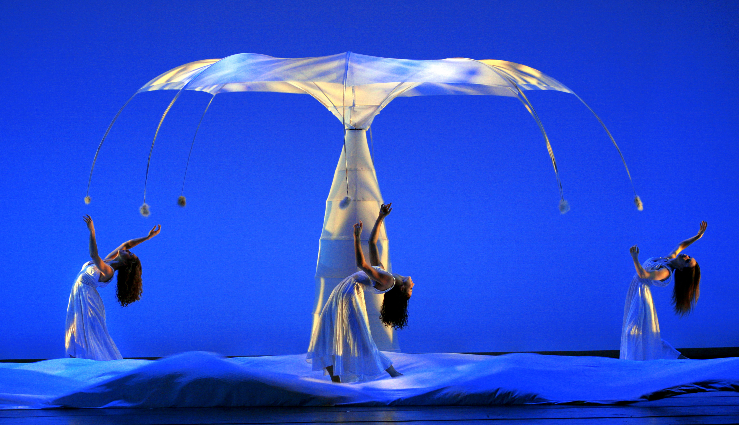 MOMIX_Botanica-4.png
