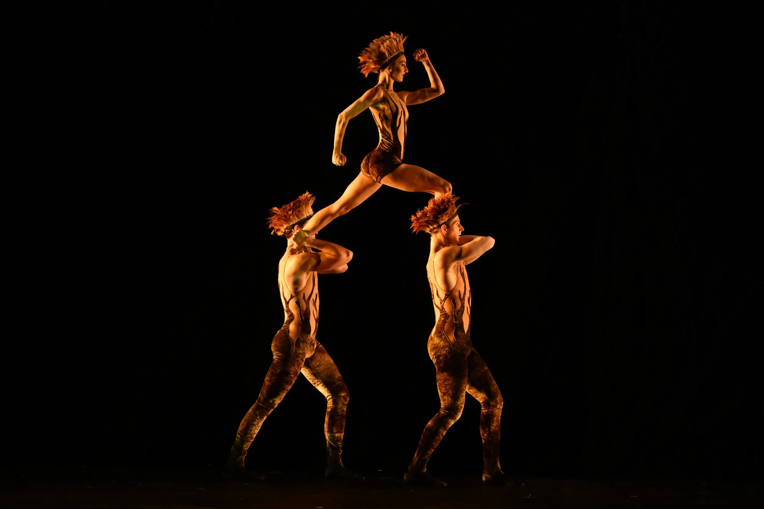 Trios-1.jpg