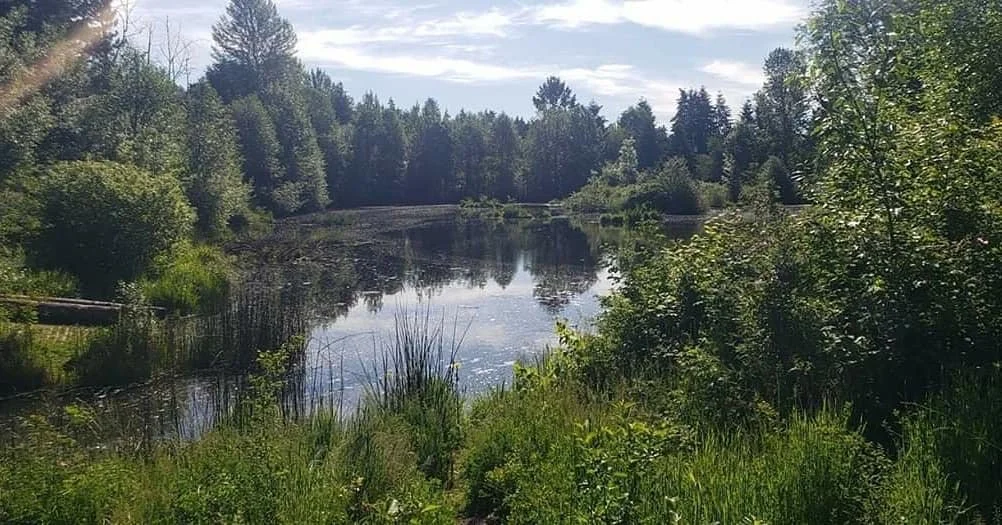 What does Seattle’s drainage and wastewater system need to succeed