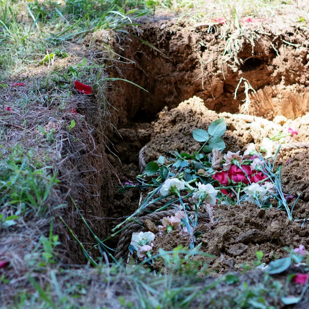 Cemetery Photo Gallery — Larkspur Conservation Tennessee's