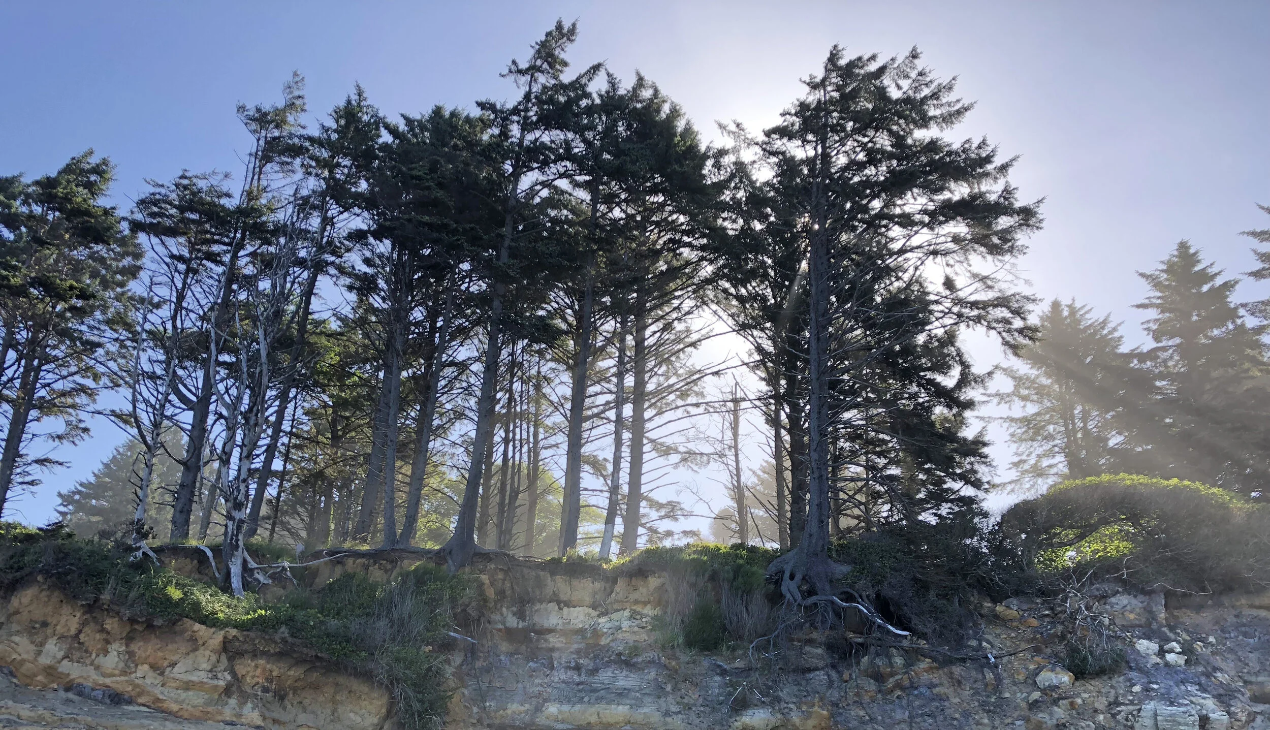 randy liddil photography lifestyle