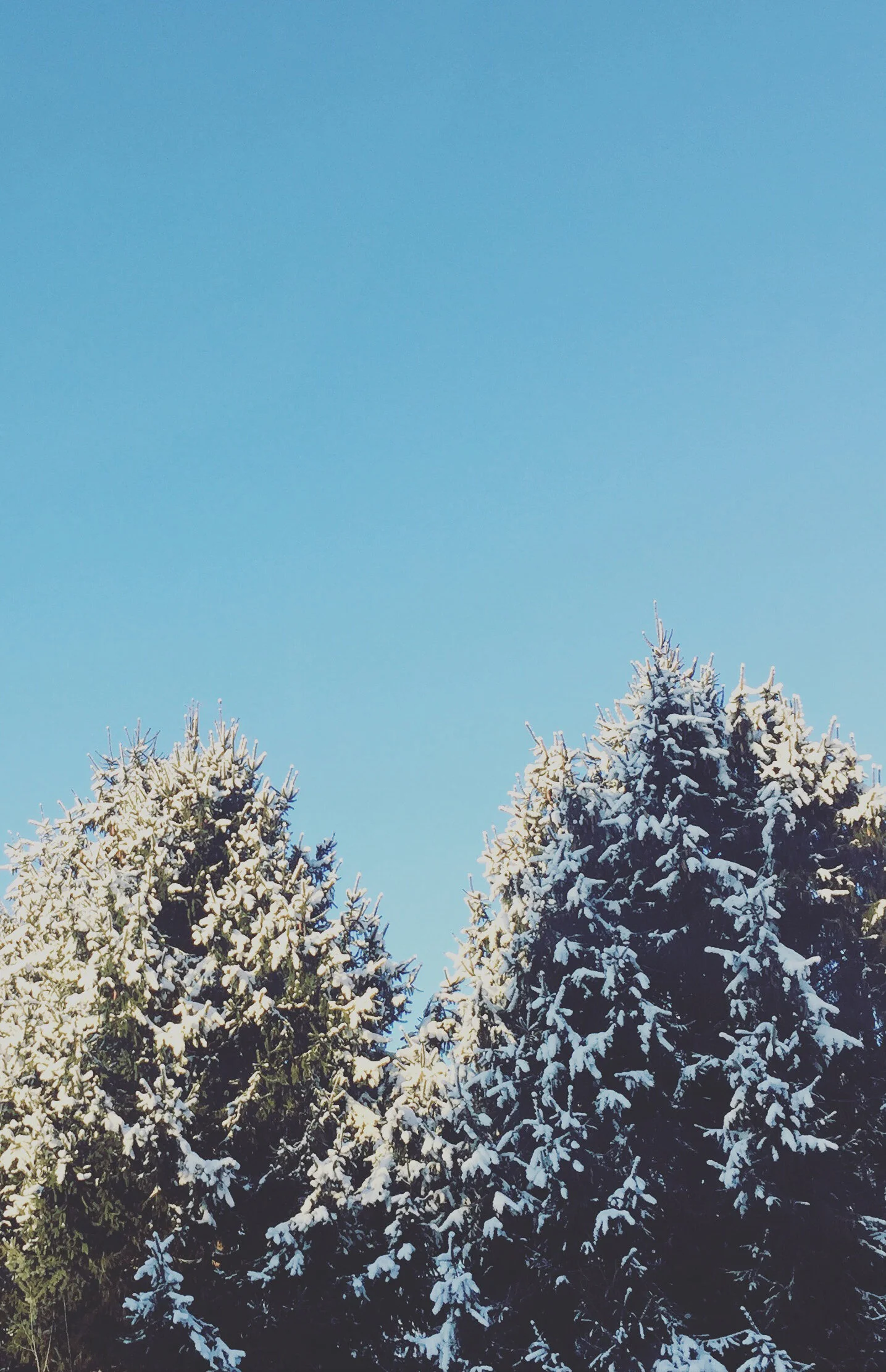 randy liddil photography lifestyle