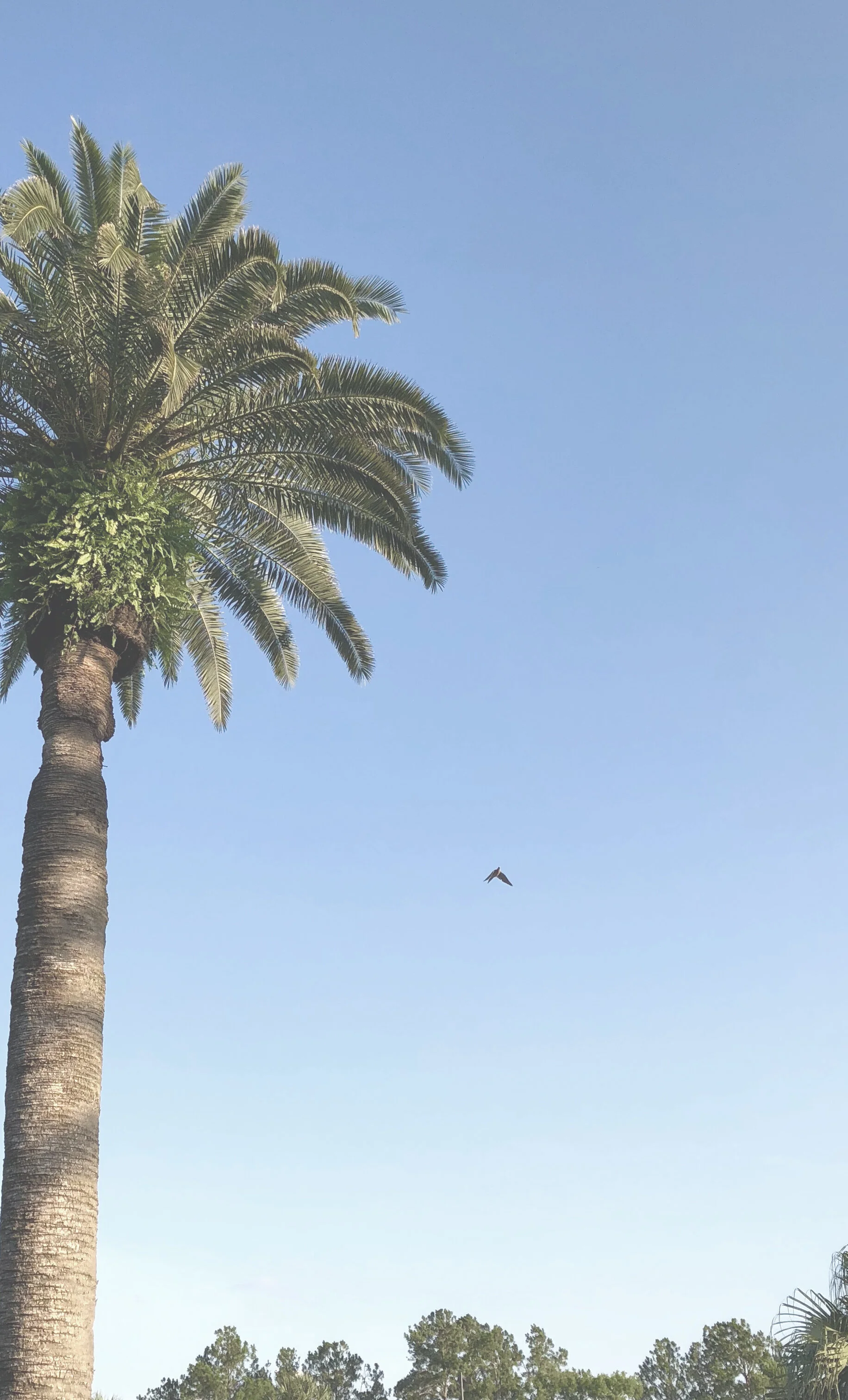 randy liddil photography lifestyle