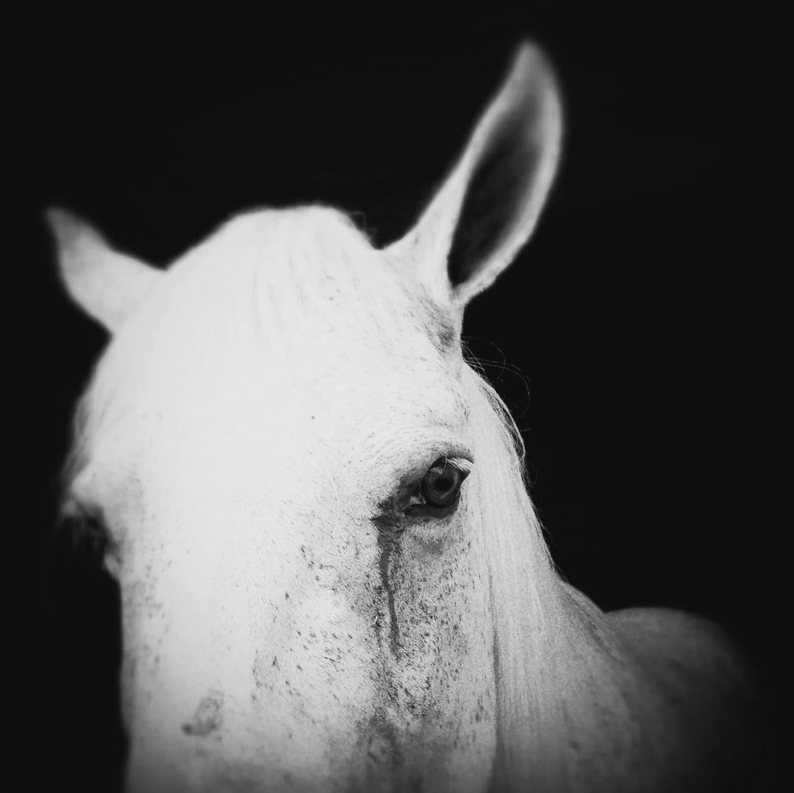 randy liddil photography lifestyle