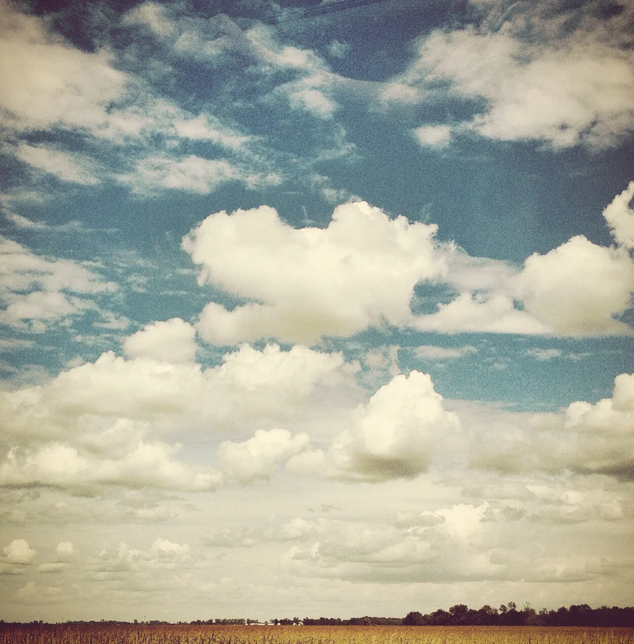 randy liddil photography lifestyle