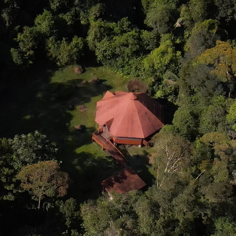 Why Ayahuasca in the Amazon is a game changer?