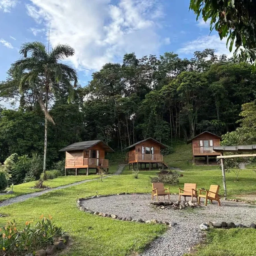 How to choose your plant medicine center