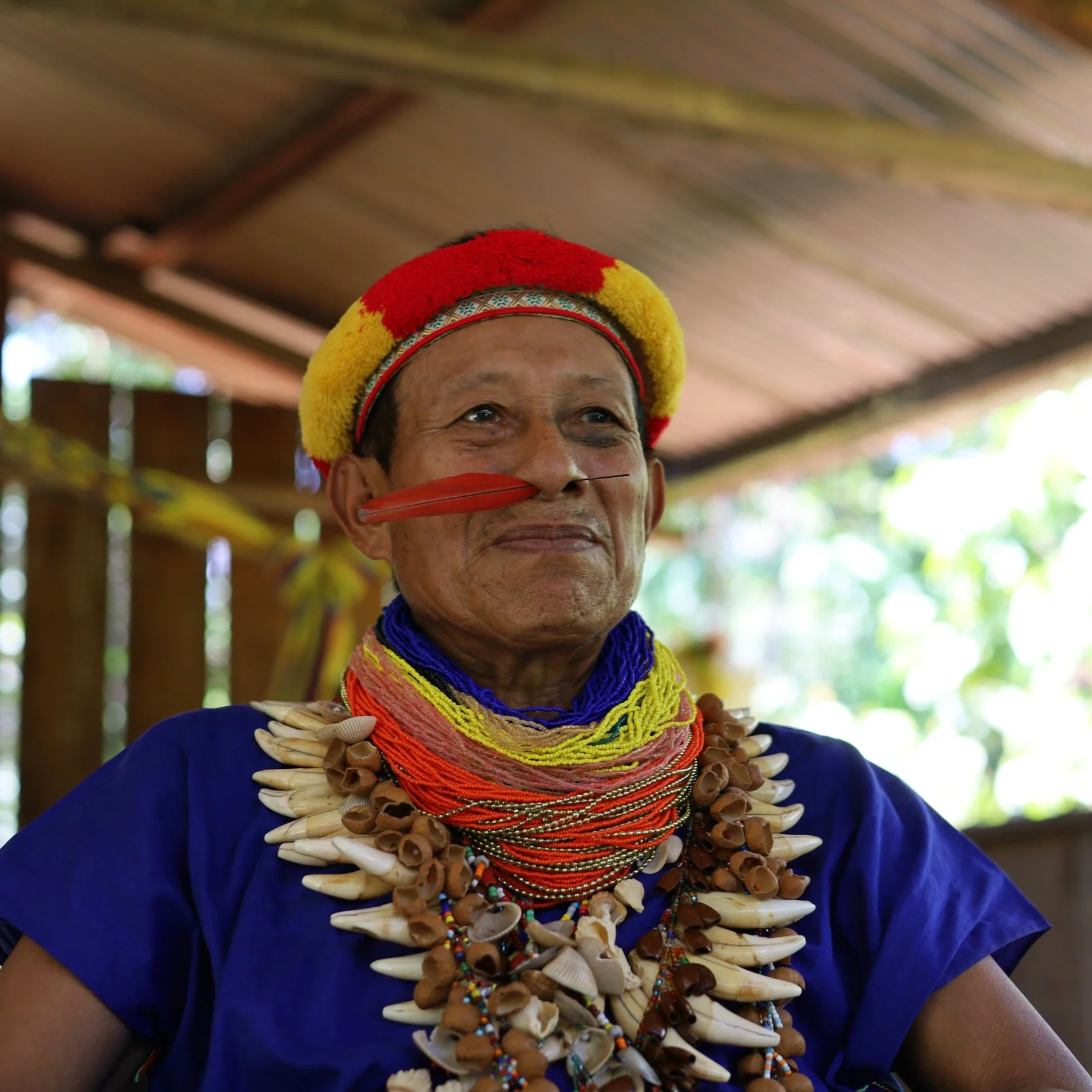 Healing Past Lives With Ayahuasca