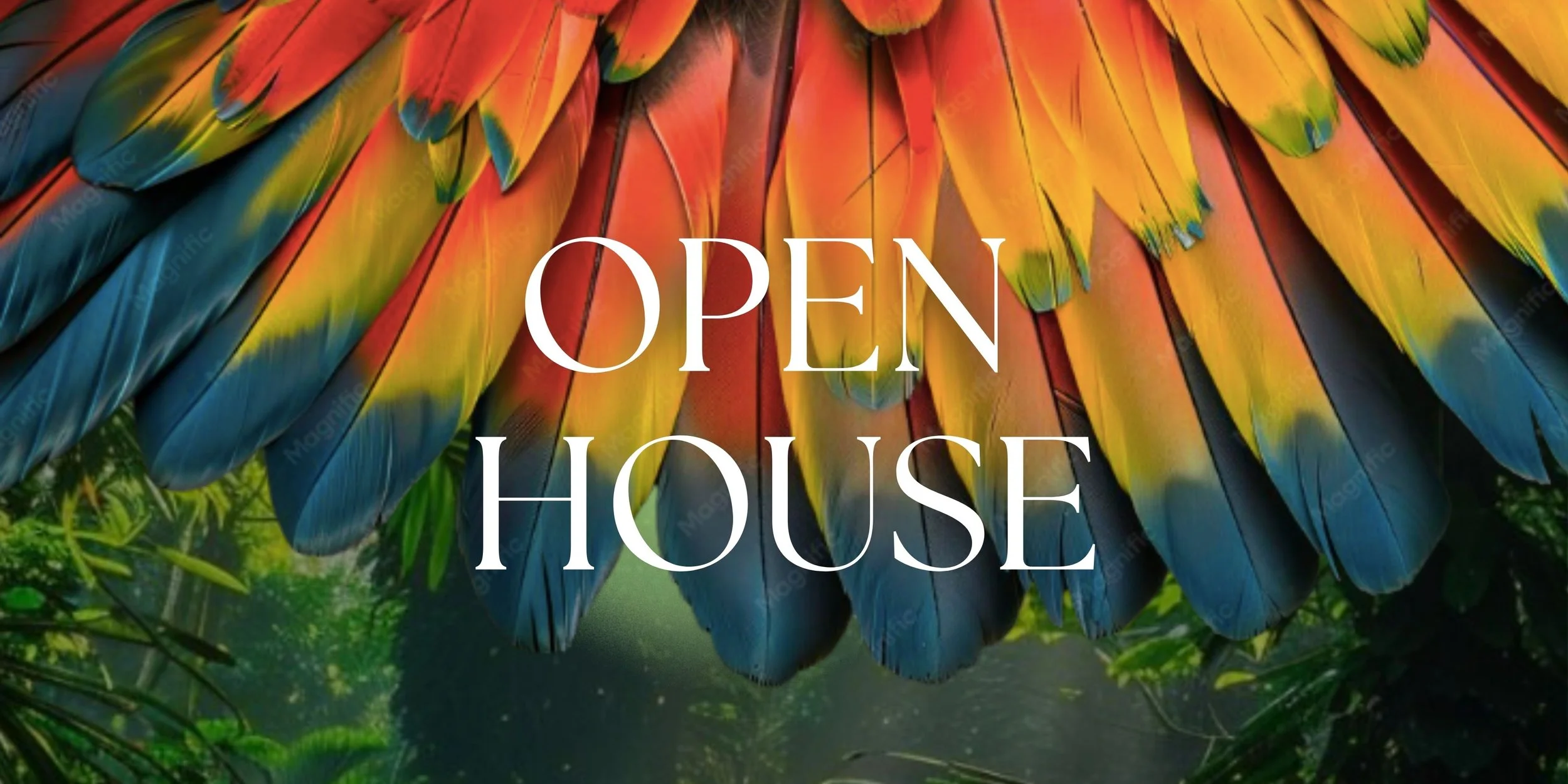 Open House Experience