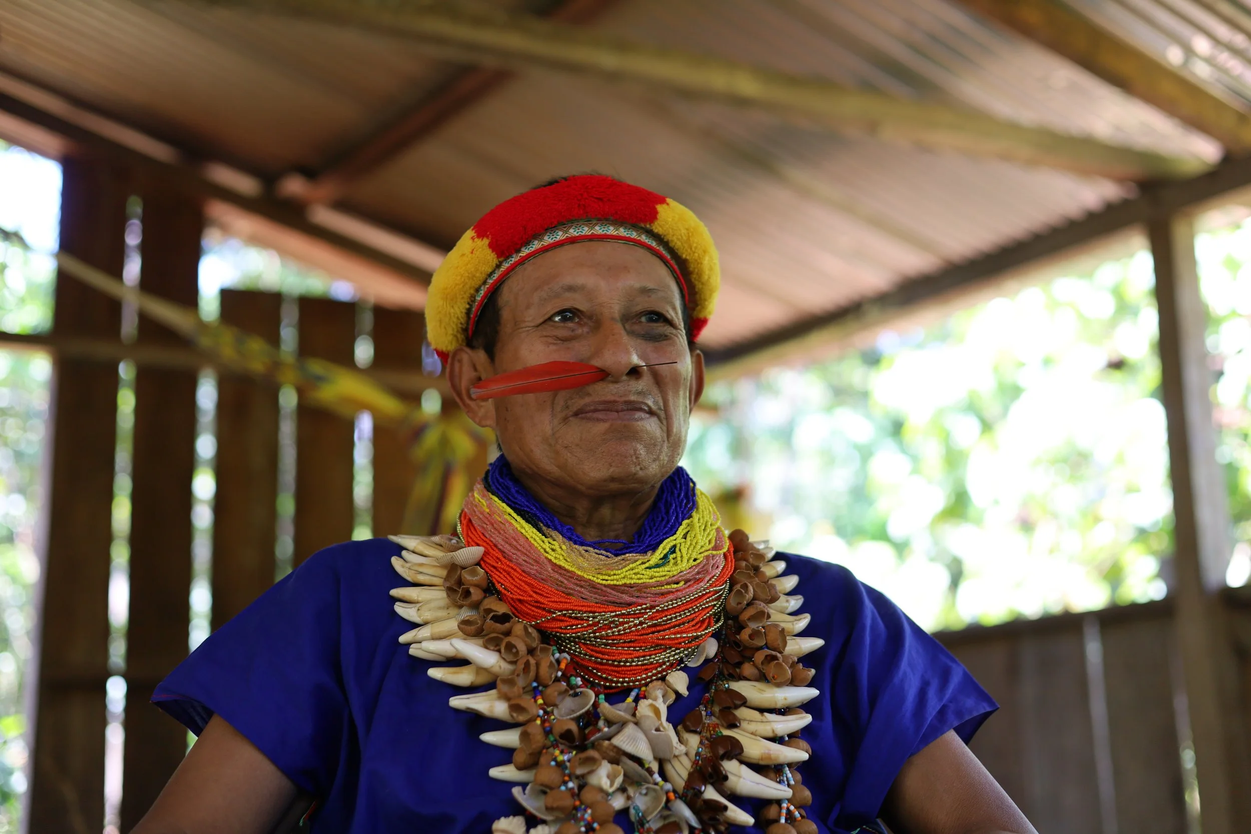 An elderly person from a tribal community, wearing traditional jewelry and a colorful headband, has a red feather in their nose and is standing inside a wooden structure with greenery outside.