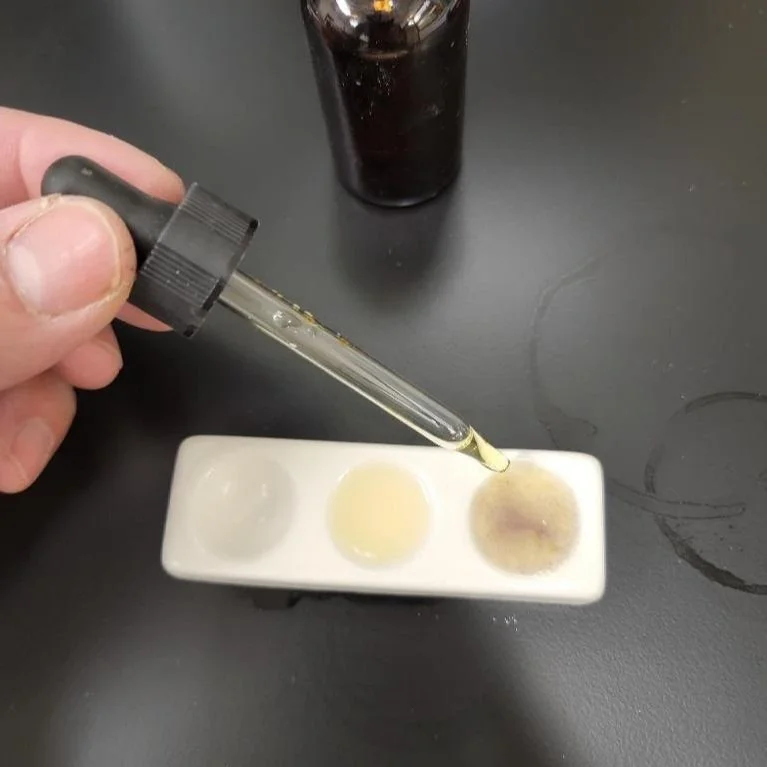Starch Conversion