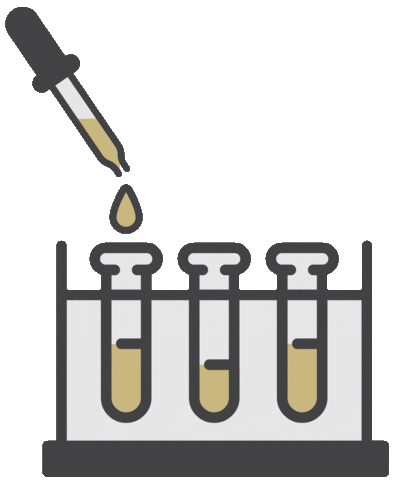 Yeast Management and Pitching Calculations