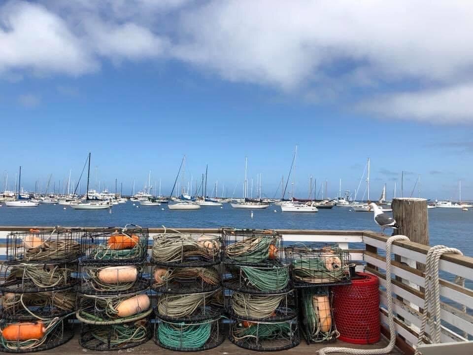 monterey bay.JPG