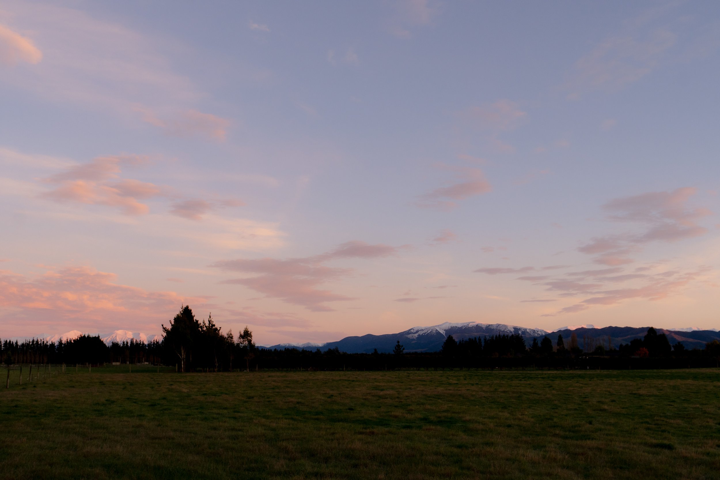 DSC09827.jpeg