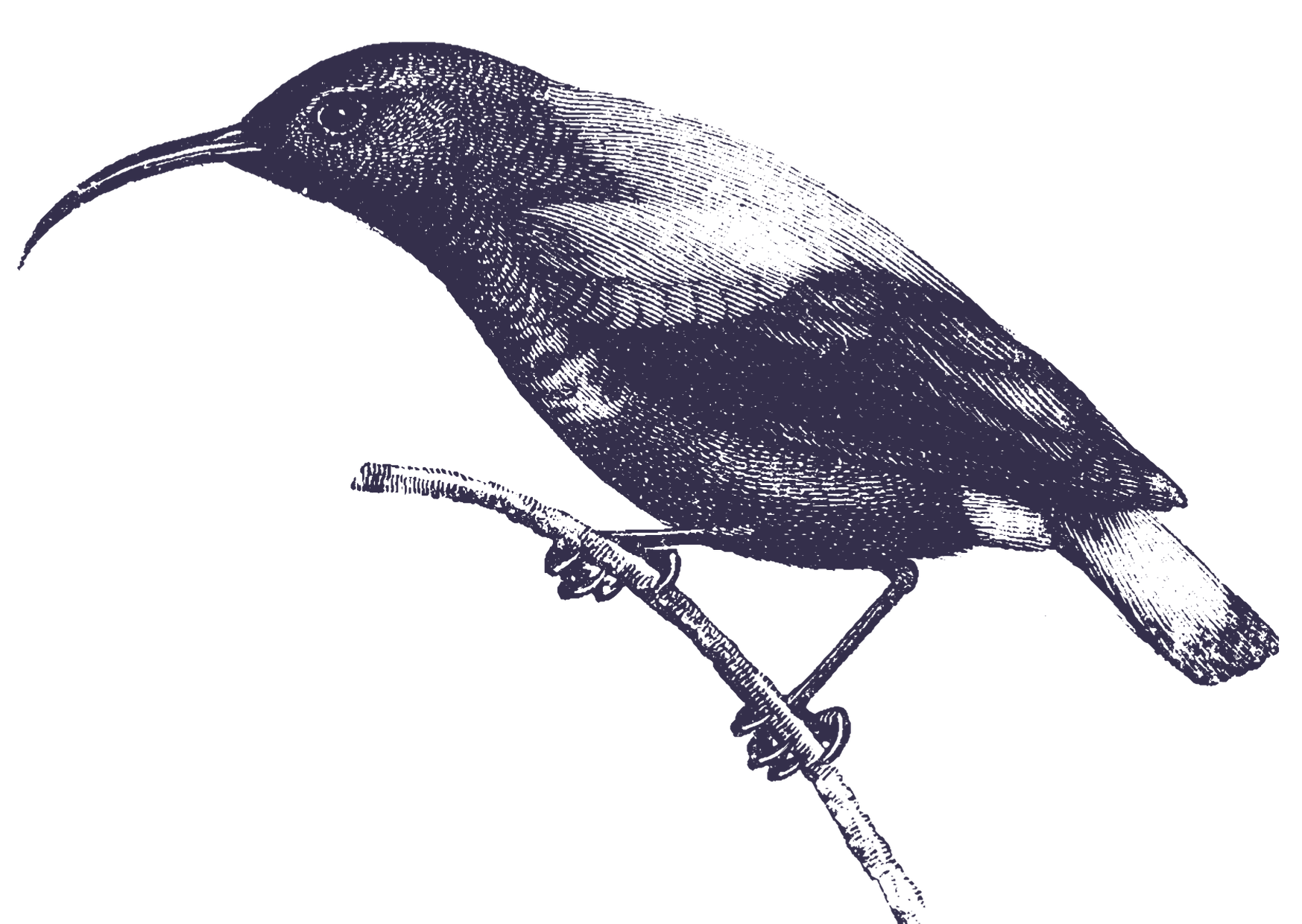 Lolambazo Country House