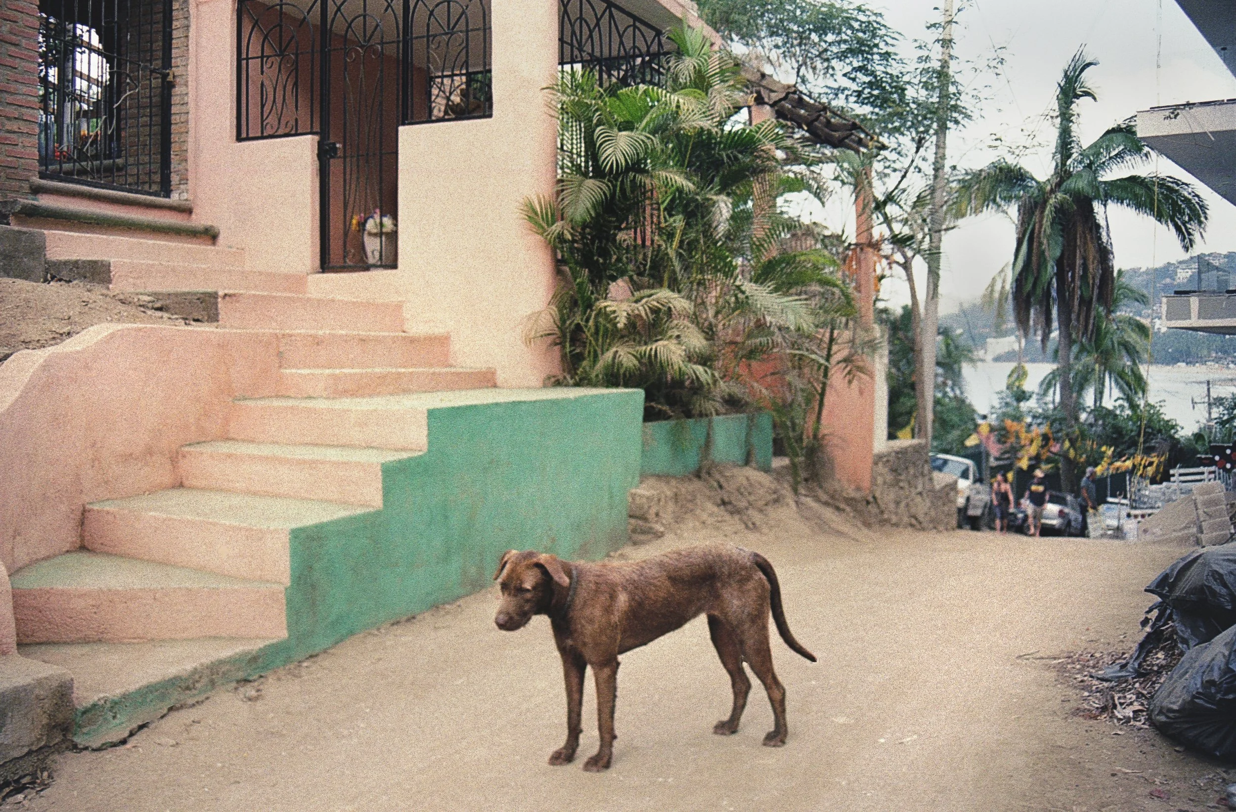 Saylulita14 copy 2.jpeg