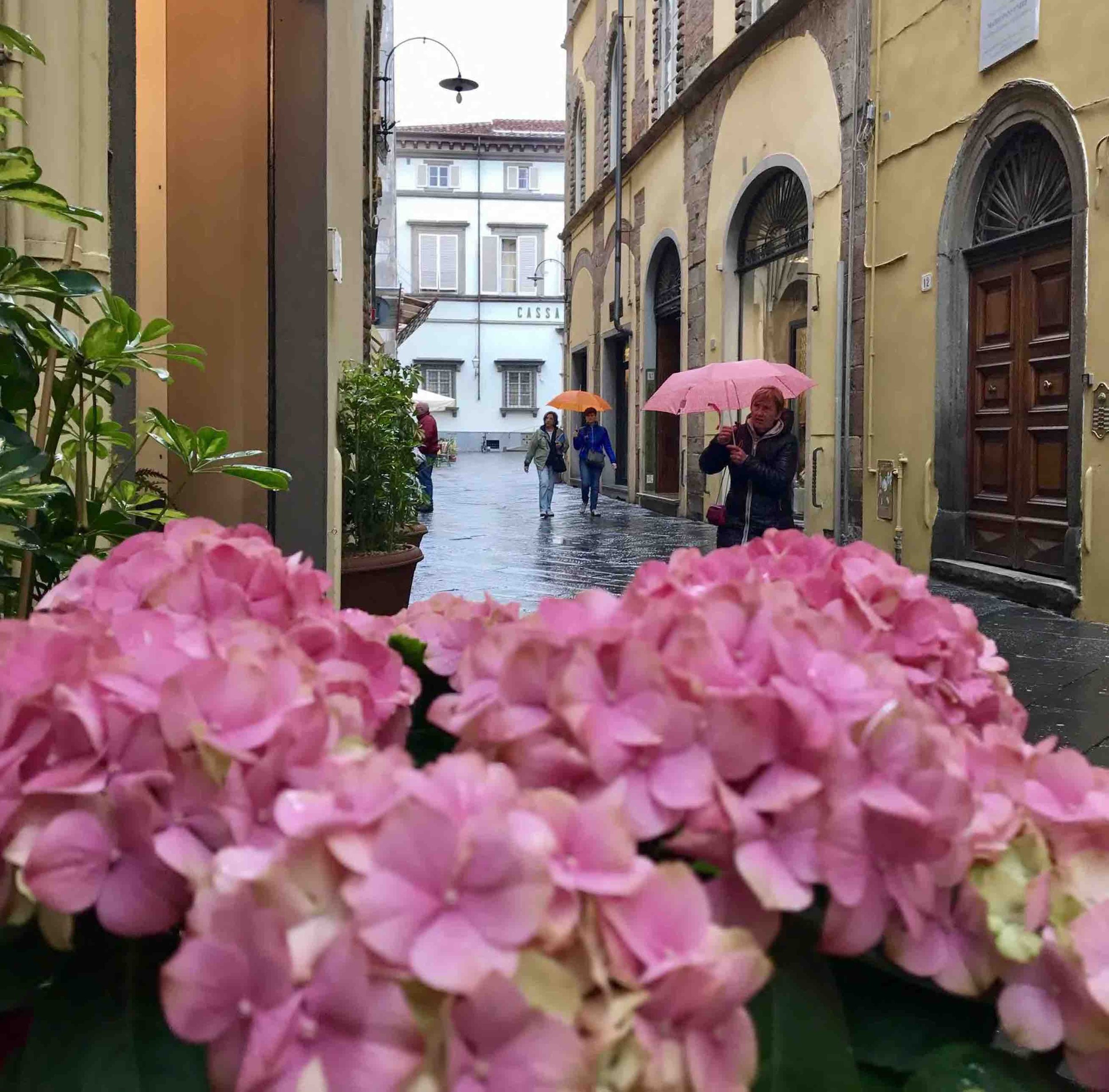 ALMA DE VIAJE - Italia - Lucca 2018  - 0364.jpeg