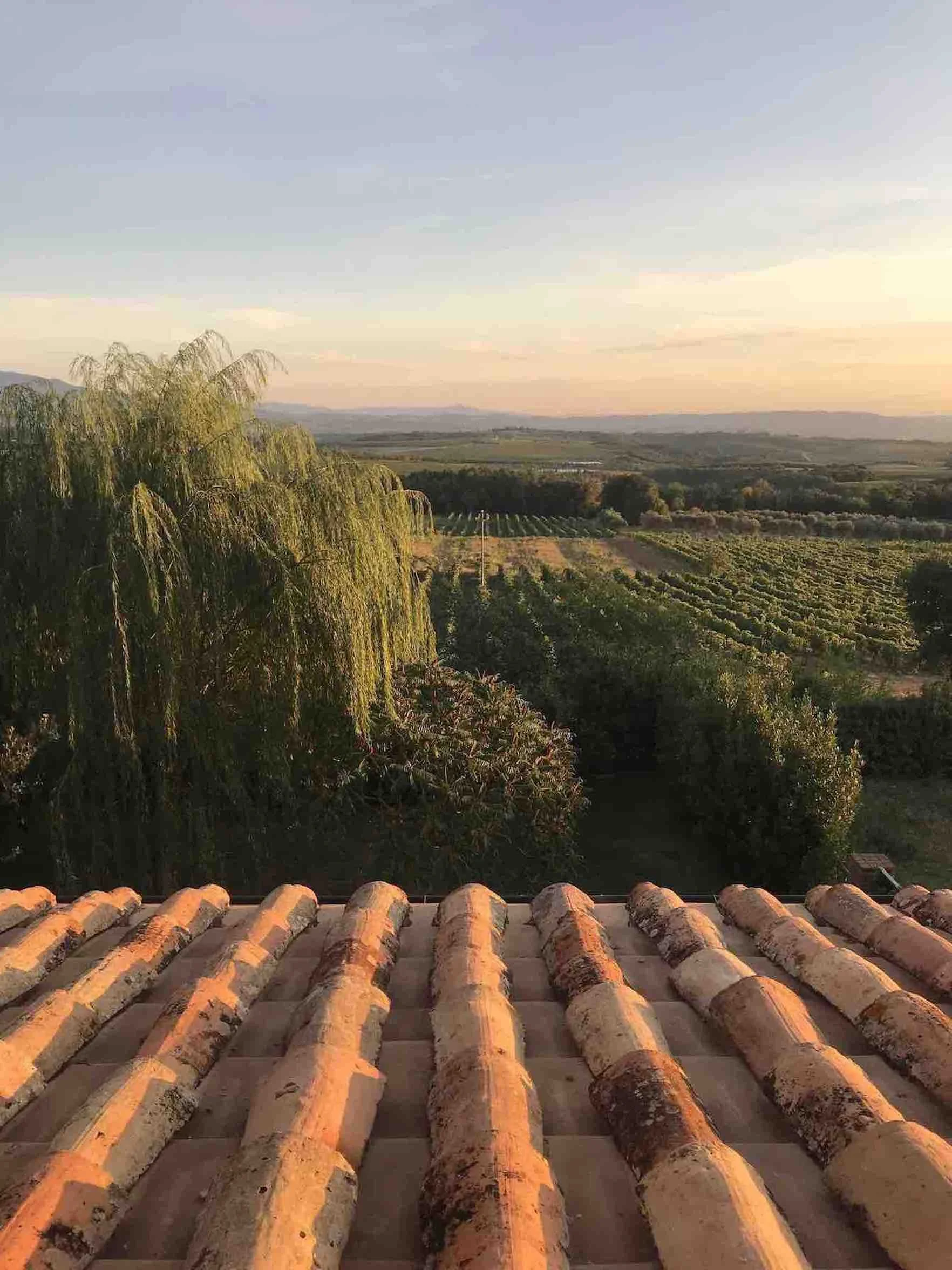 Montalcino, ciudad medieval, campiña y vinos en La Toscana