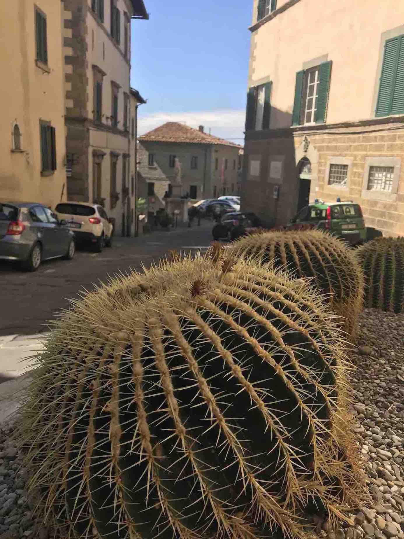 ALMA DE VIAJE - Italia - Cortona 2019 -  - 4421.jpeg