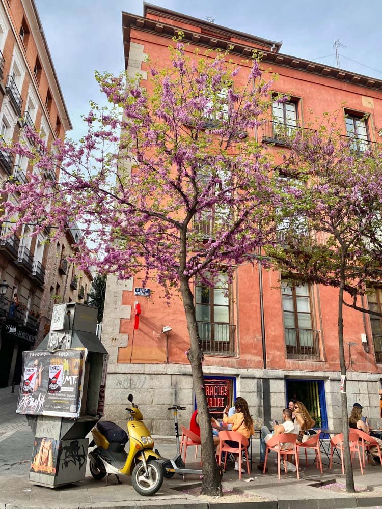 Alma de Viaje - España - Madrid - Lavapies-10.jpg