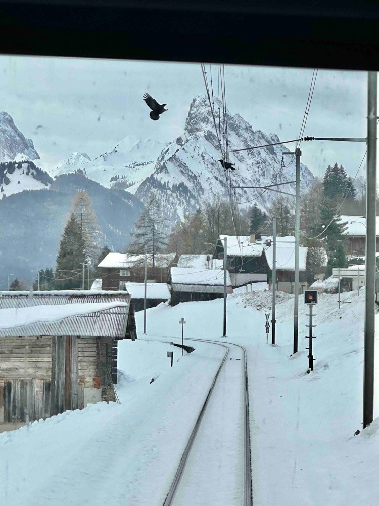 Alma de Viaje -Suiza - Suiza Trenes Panorámicos-8.jpg