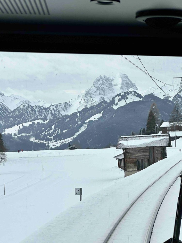 Alma de Viaje -Suiza - Suiza Trenes Panorámicos-61.jpg