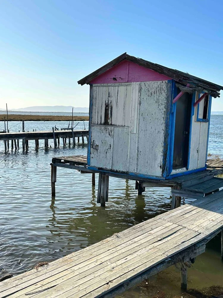 Alma de Viaje - Portugal - Comporta-14.jpg