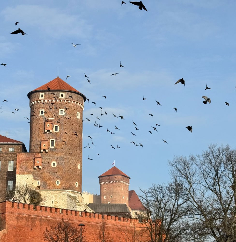 Alma de Viaje - Polonia - Cracovia-127.jpg