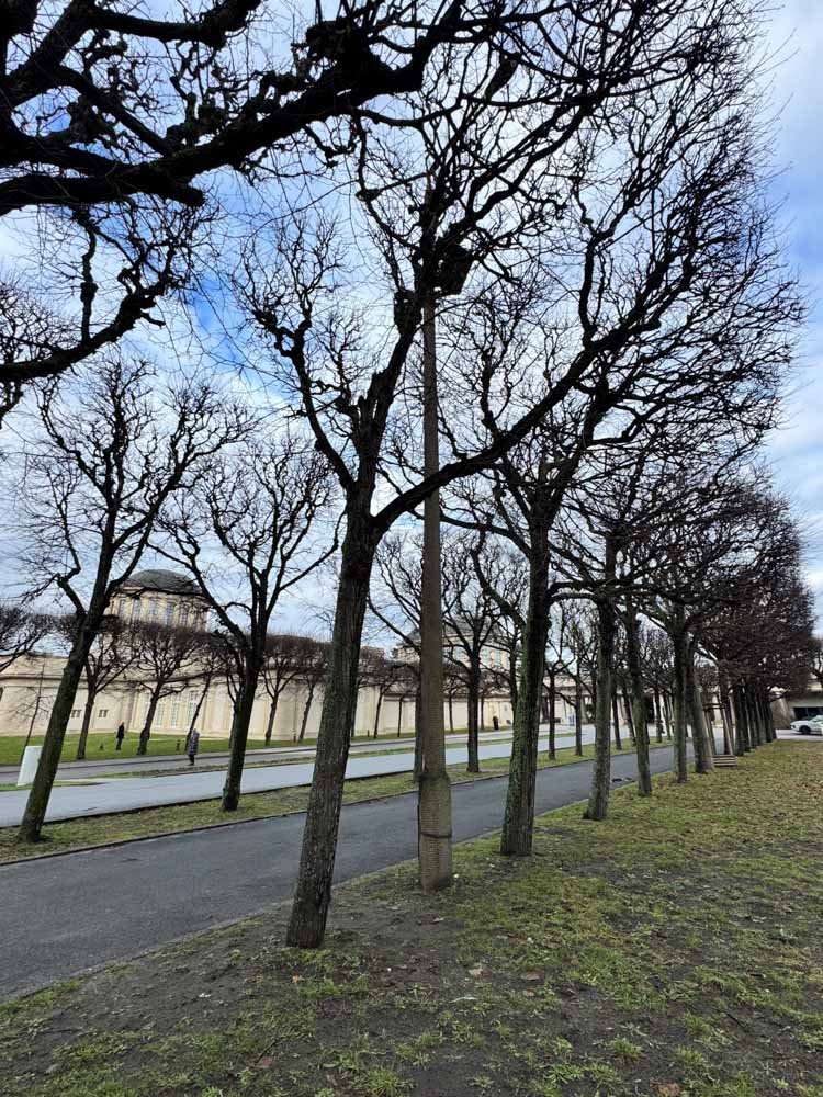 Alma de Viaje - Polonia - Wroclaw - Breslavia-97.jpg