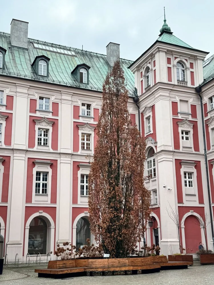 Alma de Viaje - Polonia -  Poznan-43.jpg