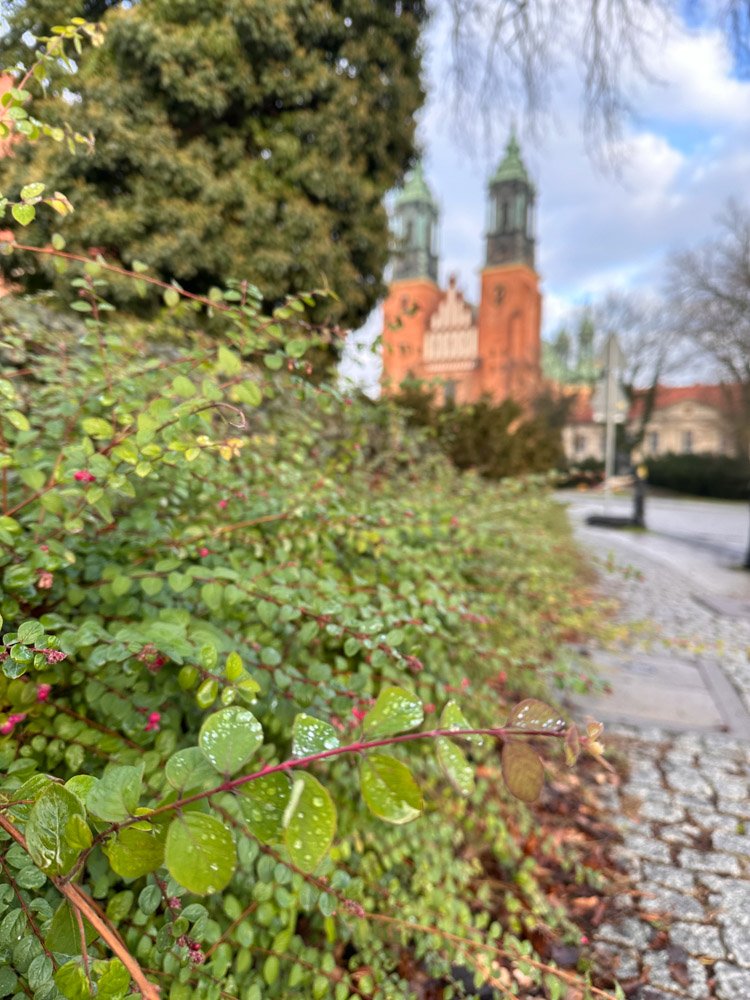 Alma de Viaje - Polonia -  Poznan-55.jpg