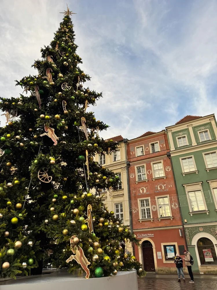 Alma de Viaje - Polonia -  Poznan-99.jpg