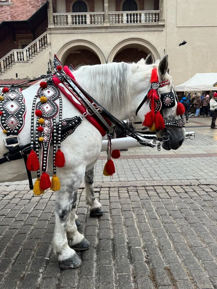 Alma de Viaje - Polonia - Cracovia-49.jpg