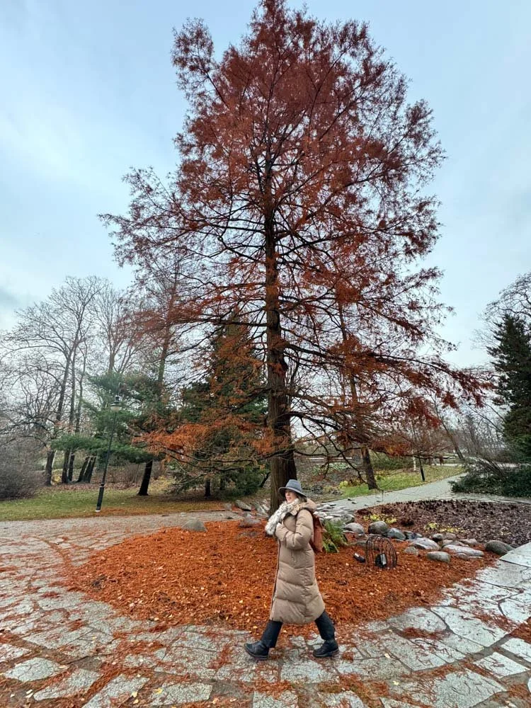 Alma de Viaje - Polonia -  Varsovia-101.jpg