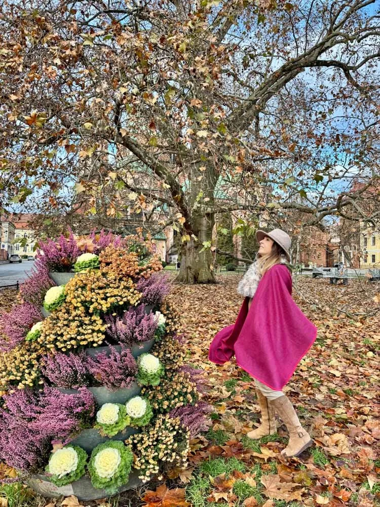 Alma de Viaje - Polonia - Wroclaw - Breslavia-58.jpg