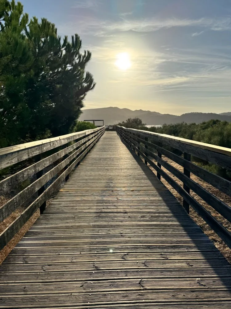 Alma de Viaje - Portugal - Comporta_-16.jpg