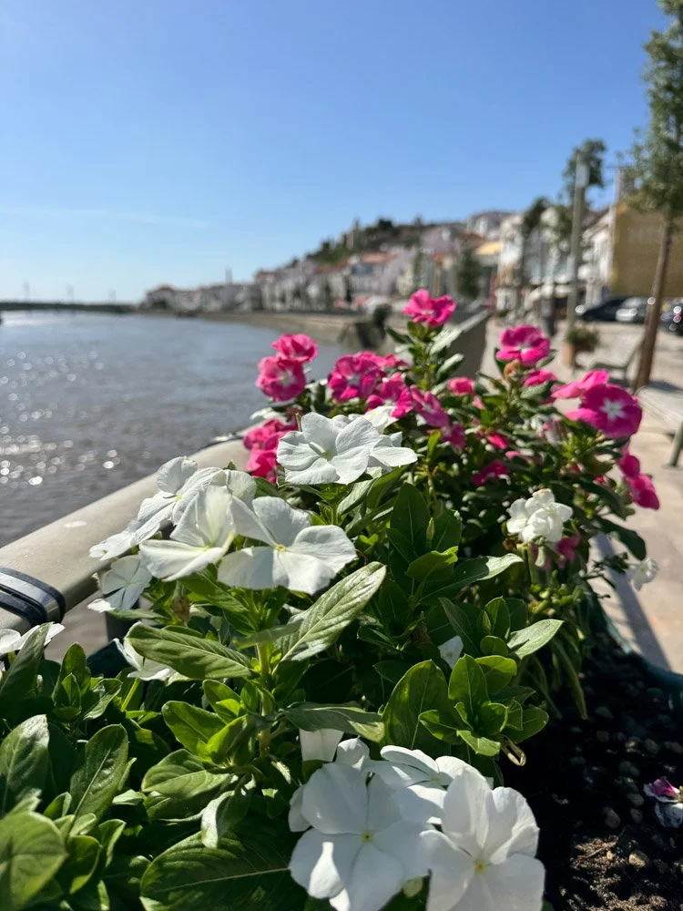 Alma de Viaje - Portugal - Alcacer do Sal-8.jpg