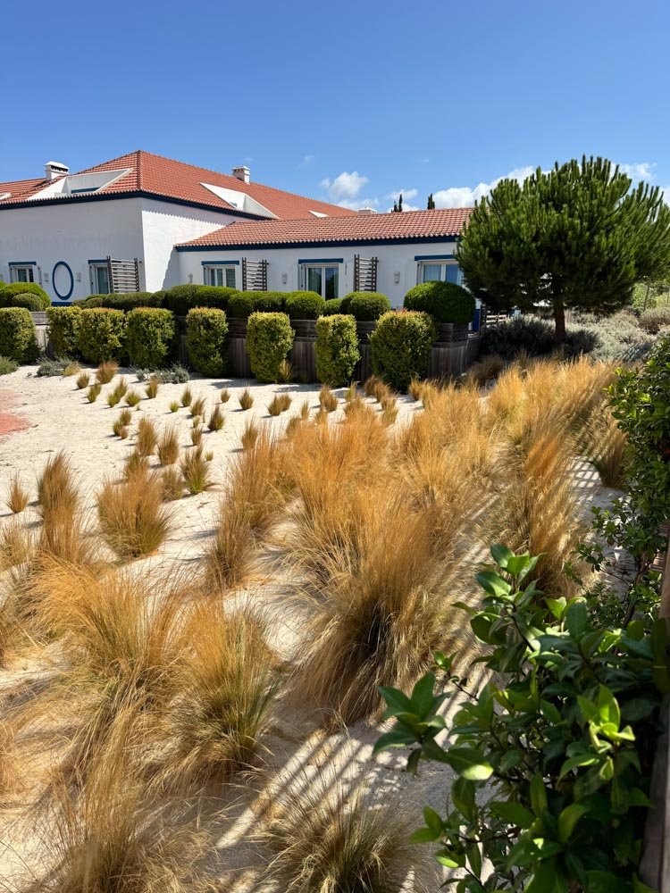 Alma de Viaje - Portugal - Comporta_-36.jpg