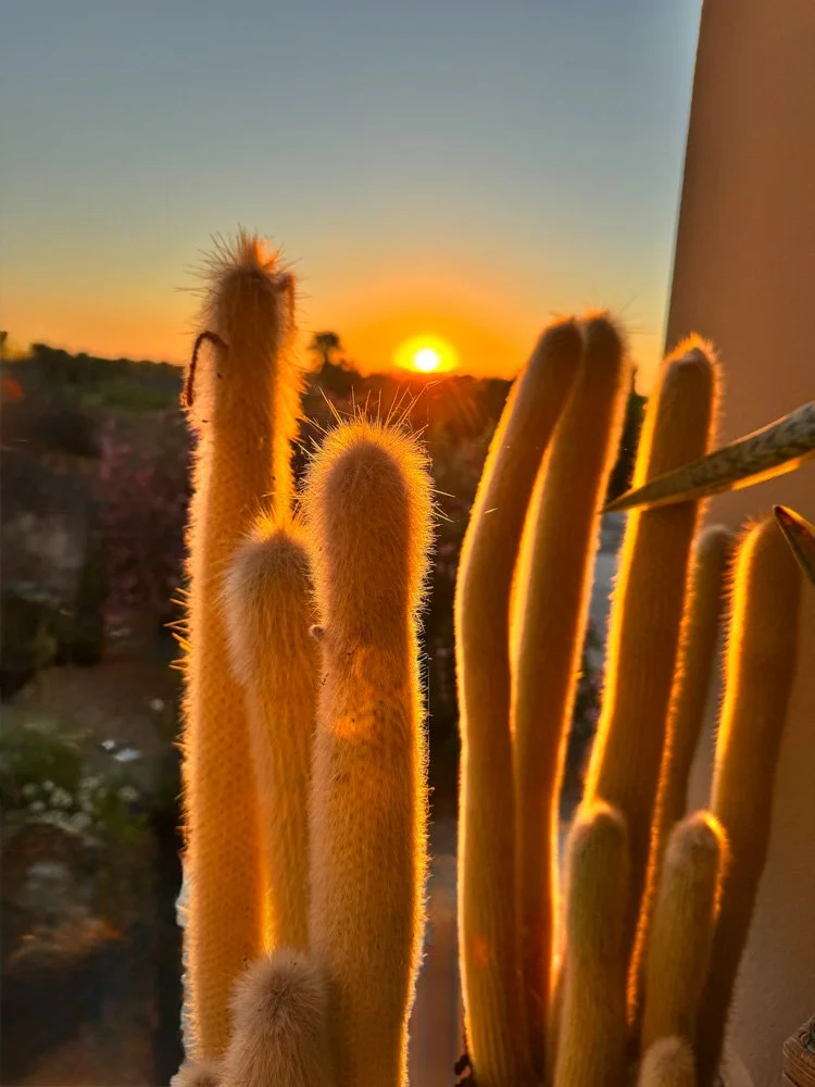 Alma de Viaje - Italia - Cerdeña - Oristano-34.jpg