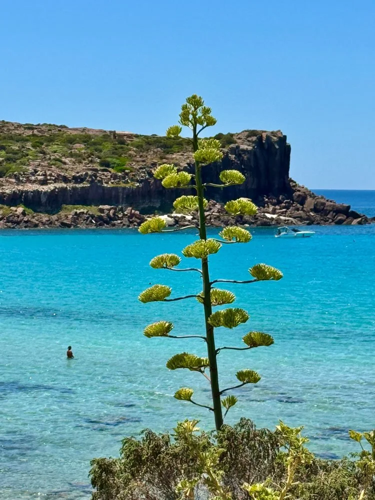 Alma de Viaje - Italia - Cerdeña - Carloforte-12.jpg