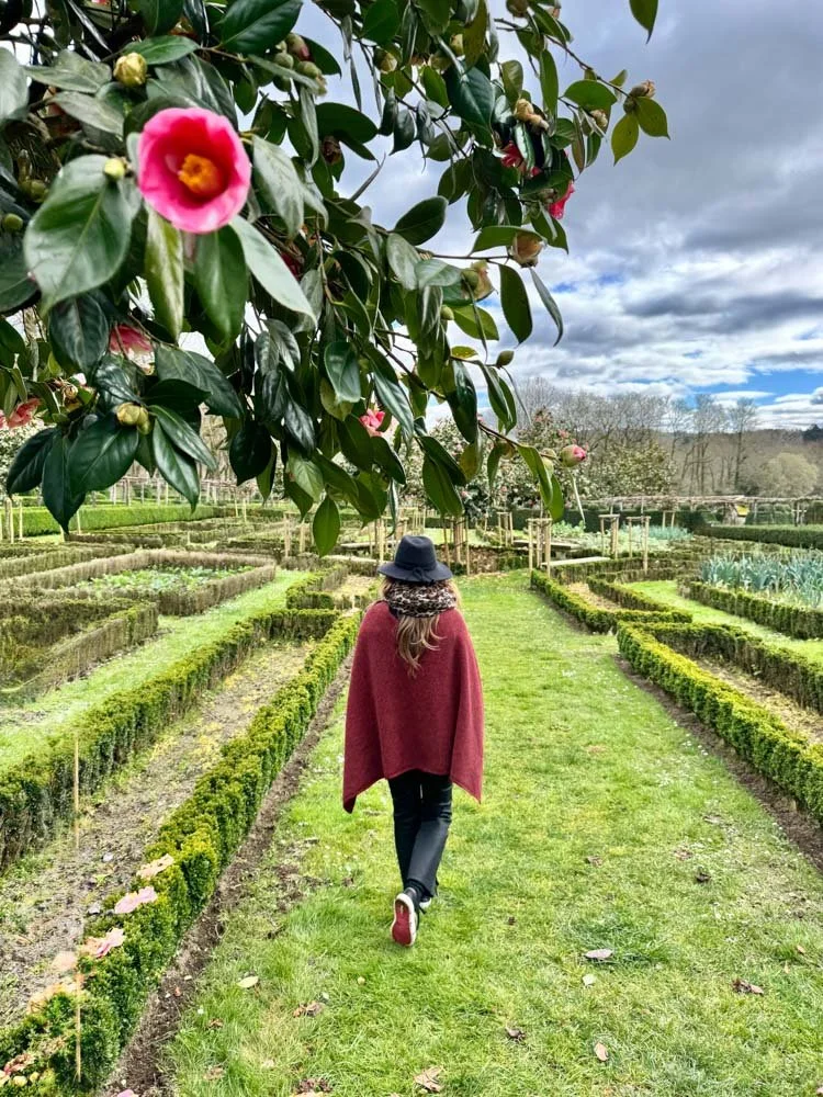 Alma de Viaje - Galicia -  Santiago de Compostela.jpg