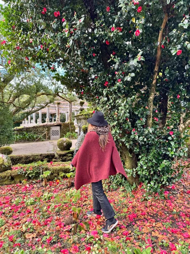 Alma de Viaje - Galicia -  Santiago de Compostela-19.jpg