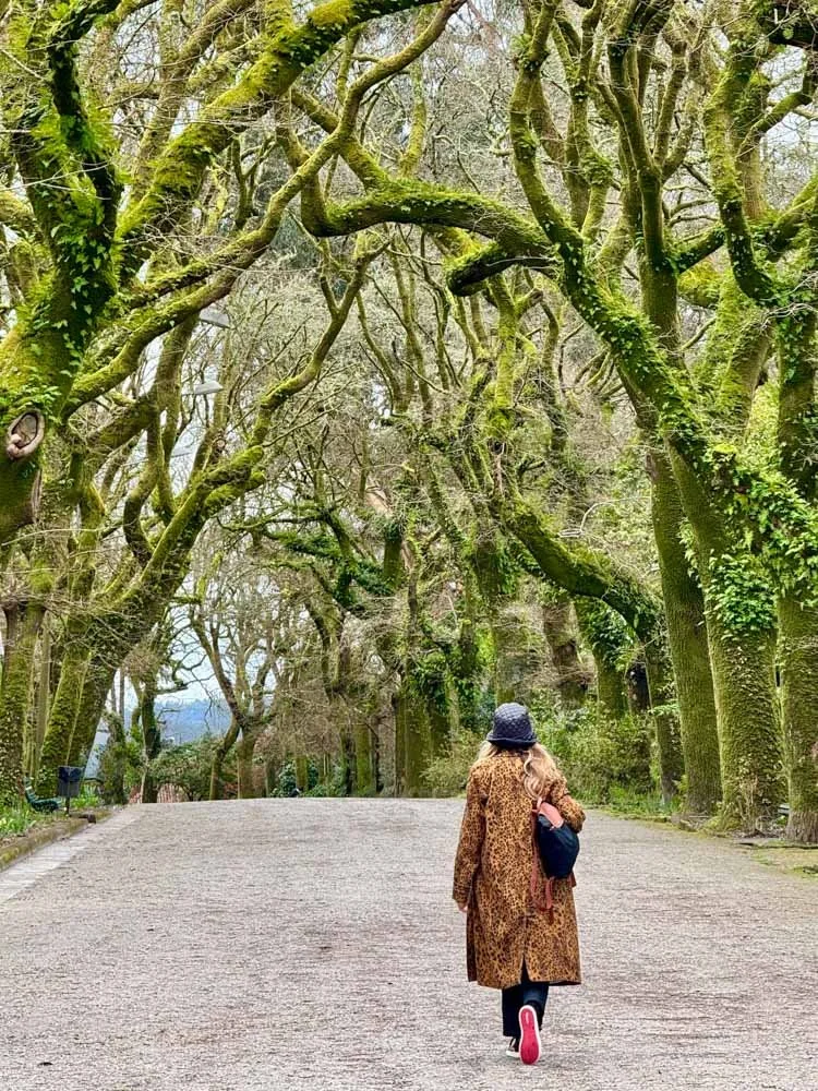 Alma de Viaje - Galicia -  Santiago de Compostela-15.jpg