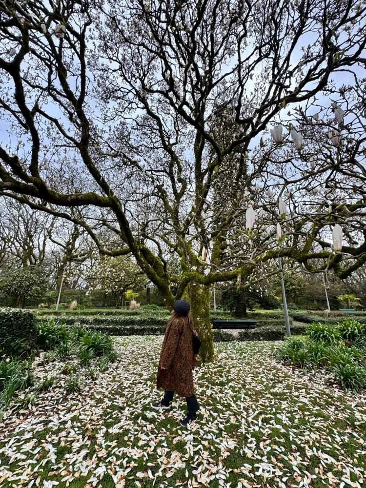 Alma de Viaje - Galicia -  Santiago de Compostela-27.jpg